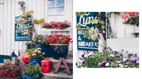 Kivik Cama Y Desayuno | Agda Lund Bed & Breakfast