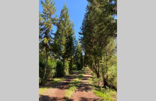 La Plaine des Cafres Chalet De Esquí | Agréable chalet Au milieu des sapins
