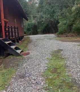 Villarrica Casa | Agradable Cabaña inserta en bosque nativo