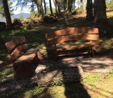 Villarrica Casa | Agradable Cabaña inserta en bosque nativo