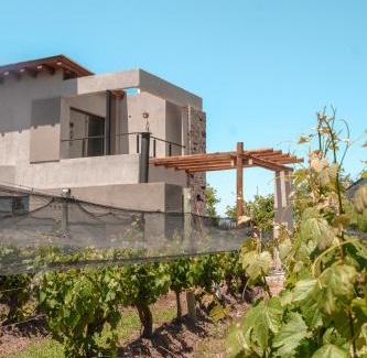 Luján de Cuyo Hotel | Agrelo Vines Lodge