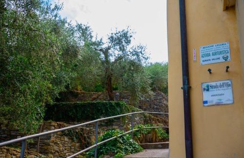 Dolcedo Apartamento | Agri Borgata Vallone - Apartments - by HOST4U