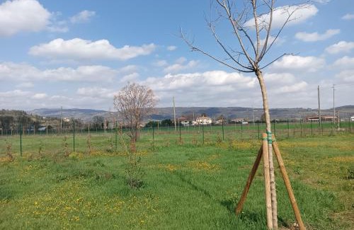 Borgo Venezia Otro | Agricampeggio Oro Verde
