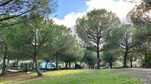 Certaldo Otro | AGRiCAMPiNG POGGiO Ai PiNi WiNE CAMPiNG