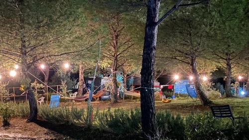 Certaldo Otro | AGRiCAMPiNG POGGiO Ai PiNi WiNE CAMPiNG