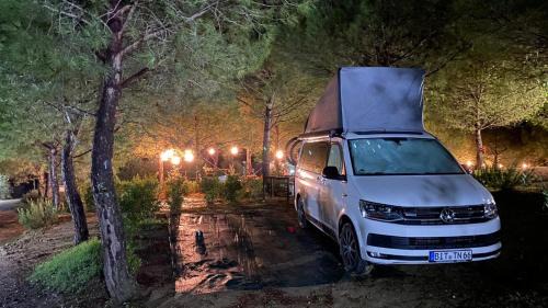 Certaldo Otro | AGRiCAMPiNG POGGiO Ai PiNi WiNE CAMPiNG