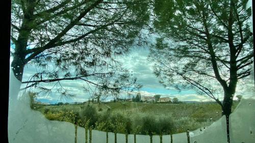 Certaldo Otro | AGRiCAMPiNG POGGiO Ai PiNi WiNE CAMPiNG