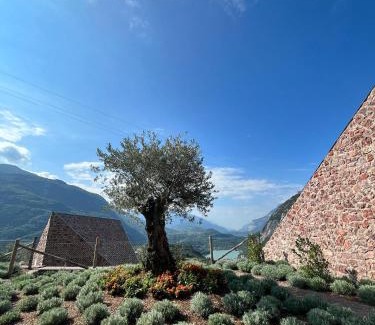 Vezzano Cama Y Desayuno | Agritur Lawanda