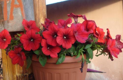 San Donato Val Di Comino Casa | Agriturismo La Fattoria