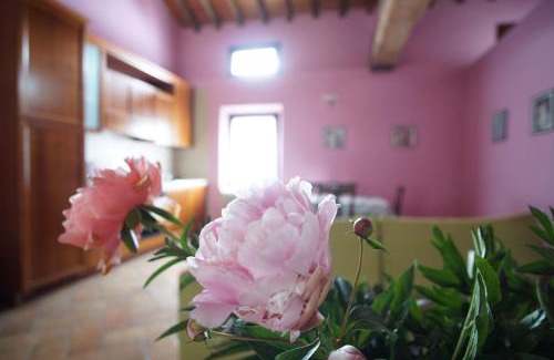 Montale Casa | Agriturismo Aggazzotti