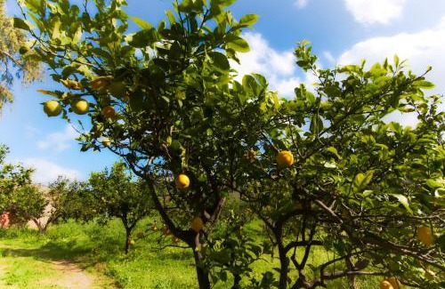 Mongiove Apartamento | Agriturismo Aiolia al mare