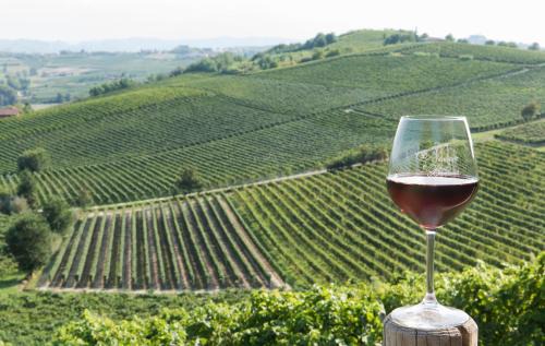 Nizza Monferrato Casa | Agriturismo Albarossa