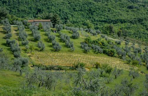 Castiglione d'Orcia Casa | Agriturismo Bindozzino