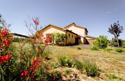 Grosseto Casa | Agriturismo Bio Podere 109 - Wine&Food