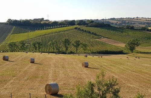 Montemarciano Casa | Agriturismo bio Verde Armonia