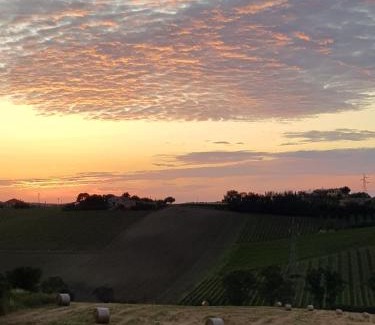 Montemarciano Casa | Agriturismo bio Verde Armonia