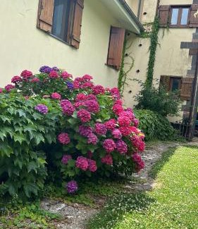 Calvanico Casa | Agriturismo Casale Piè d'Eco