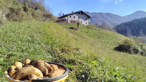 Cremeno Casa | Agriturismo Cascina Cornella