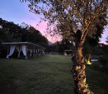 Dragonea Casa | Agriturismo Colle Maiano