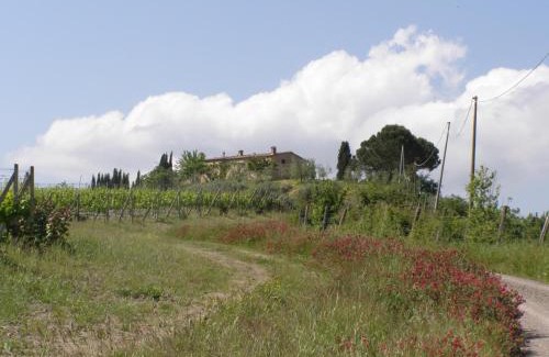 Montalcino Casa | Agriturismo Collesassi