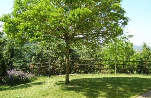 Montalcino Casa | Agriturismo Collesassi