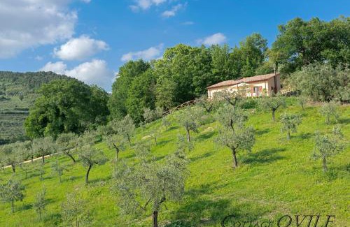Spello Apartamento | Agriturismo Cuore Verde Cottage Ovile