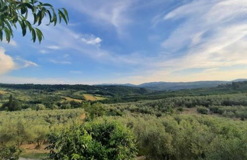 Pelago Casa | Agriturismo Fattoio alle Ripe