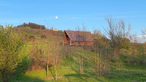 Bertinoro Otro | Agriturismo Glamping Pettirosso