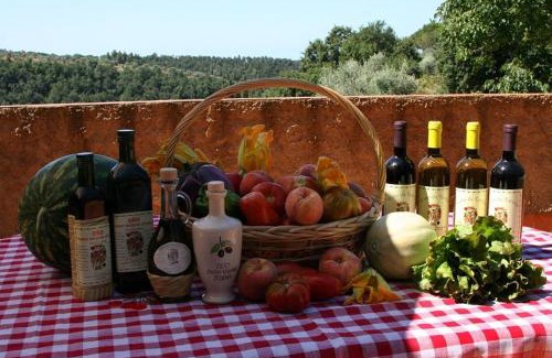 Montescudaio Casa | Agriturismo I Cerroni Montescudaio