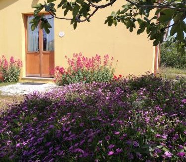 Senigallia Casa | Agriturismo I Ciliegi Appartamento Ginestra