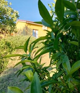 Senigallia Casa | Agriturismo I Ciliegi Appartamento Ginestra