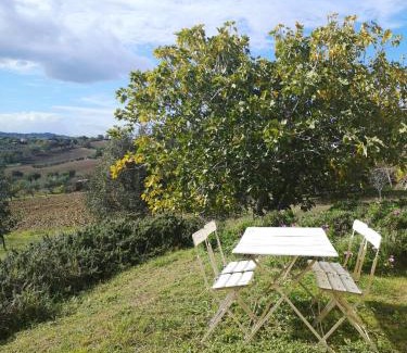 Senigallia Casa | Agriturismo I Ciliegi Appartamento Ginestra