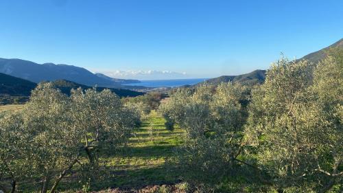 Fluminimaggiore Casa | Agriturismo Il Ginepro