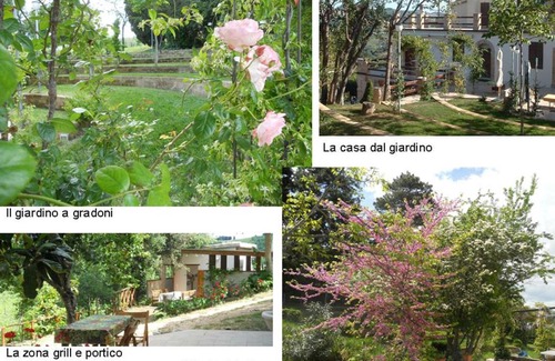Rotella Casa | Agriturismo Il Palmarone