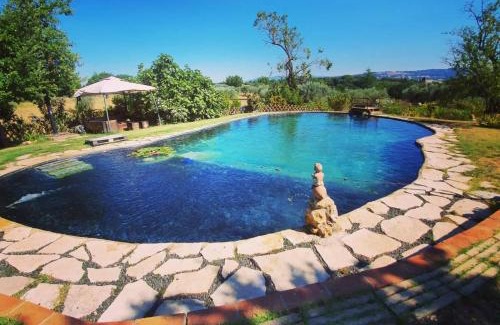 Bibbona Apartamento | Agriturismo Il Poderino