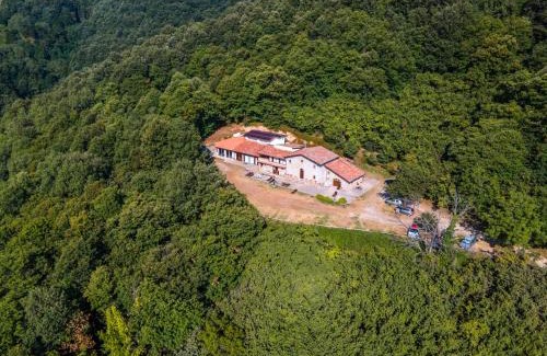 Longi Casa | Agriturismo il Vignale