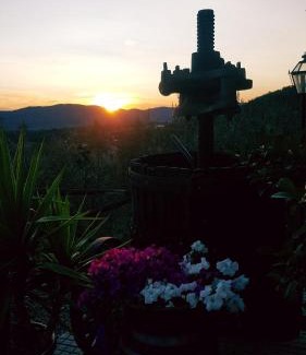 Castelfranco di Sopra Casa | Agriturismo La Casuccia