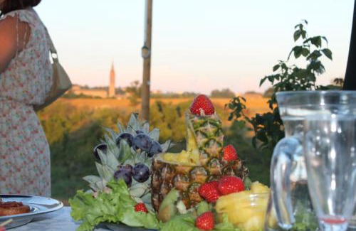 Castelvetro di Modena Casa | Agriturismo Le Casette