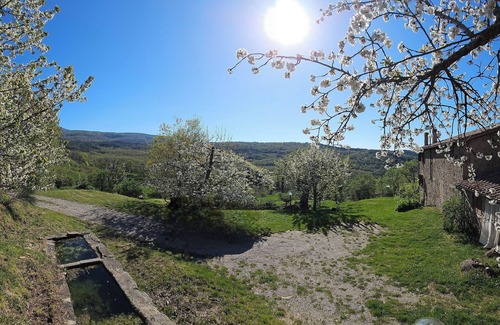 Vivo dʼOrcia Apartamento | - Agriturismo La Piaggia - Forest View Apartment on the Ground Floor 2 Guests