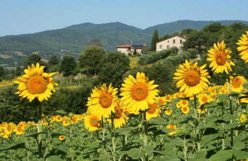 Pieve Santo Stefano Casa | Agriturismo Le Ceregne Bio