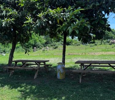 Villaggio Belmonte Casa | Agriturismo La Betulla