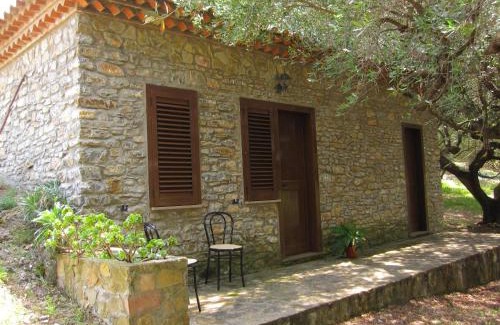 Ascea Casa | Agriturismo La Casa Vecchia