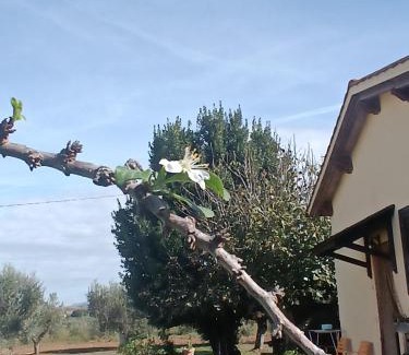 Grosseto Casa | Agriturismo Le Villette di Cate