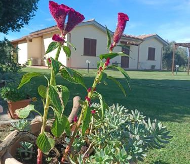 Grosseto Casa | Agriturismo Le Villette di Cate