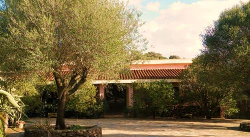 Dorgali Casa | Agriturismo Muristene