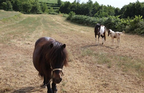 Gerocarne Casa | Agriturismo Pirara
