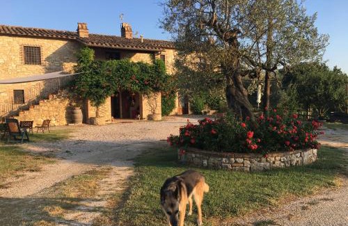 Amelia Casa | Agriturismo Podere dell' Olmo