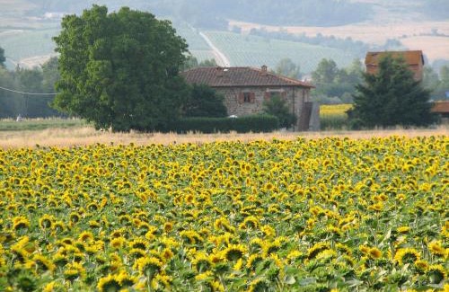 Bibbiena Casa | Agriturismo Poderi Minori