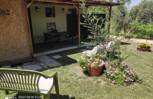 Follonica Casa | Agriturismo Poggio all'Olivo