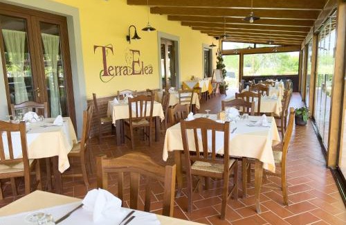 Ascea Casa | Agriturismo Terra Di Elea azienda agricola di Raimondo MIchela